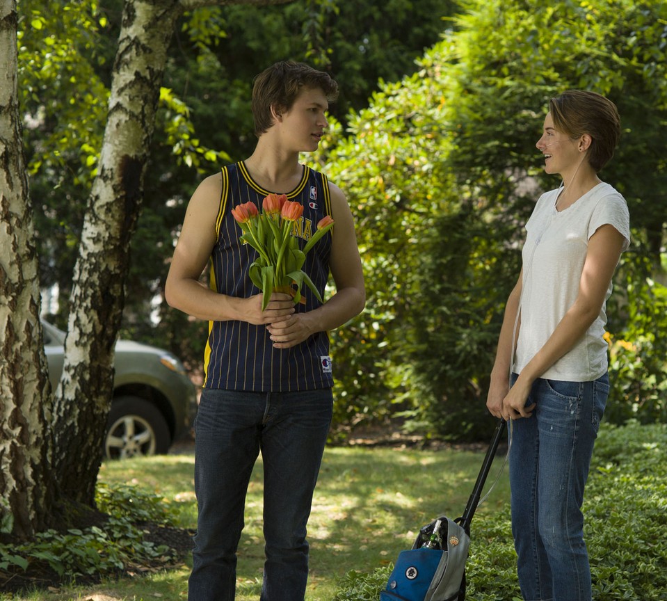 the fault in our stars full movie online